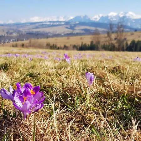 Domek alpejski Na Stromej